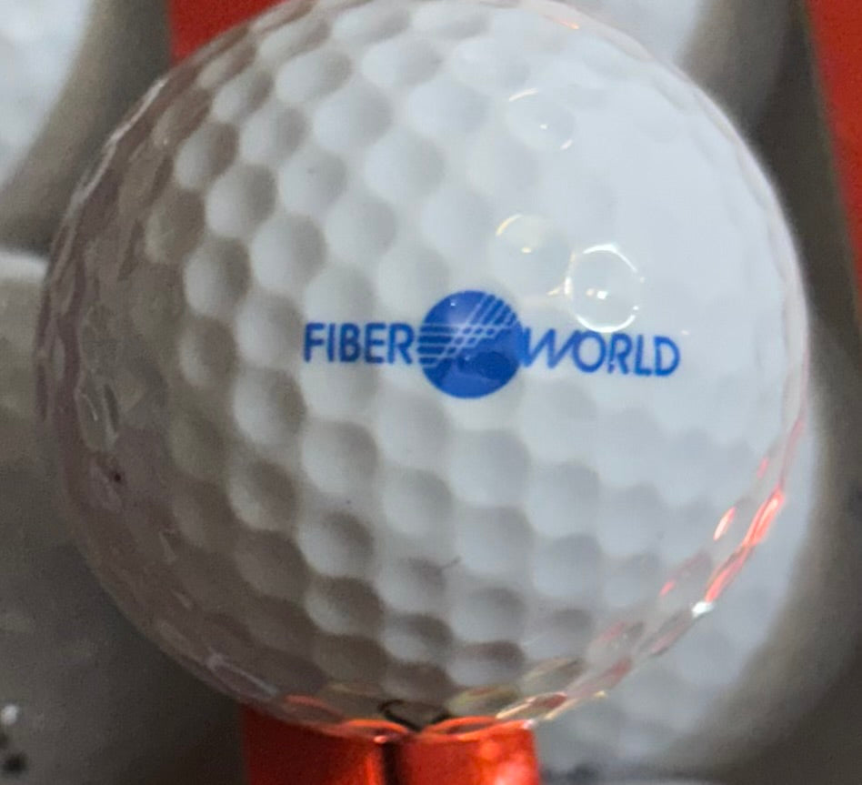 Titleist DT 90 Dozen Logo white golf balls